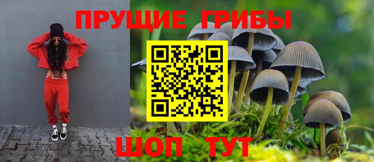 Галлюциногенные грибы прущие грибы Электросталь