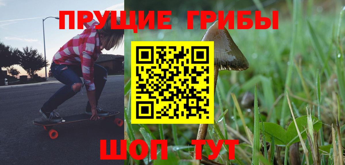 Электросталь  Галлюциногенные грибы прущие грибы  Вход с VPN 